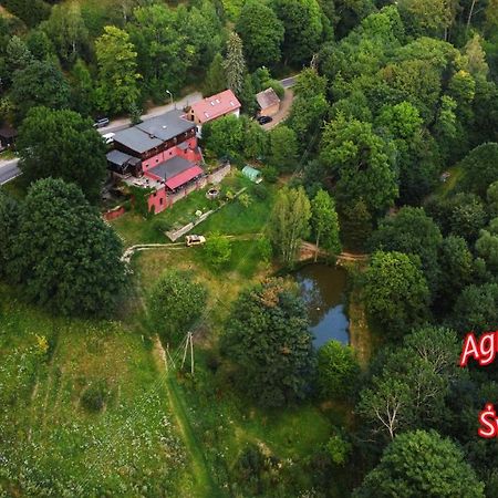 Agroturystyka Pod Swierkiem Srebrna Góra Exteriér fotografie