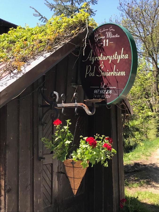 Agroturystyka Pod Swierkiem Srebrna Góra Exteriér fotografie